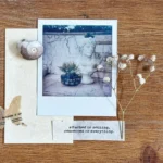Couleurs d’accessoires qui dominent la saison 2026